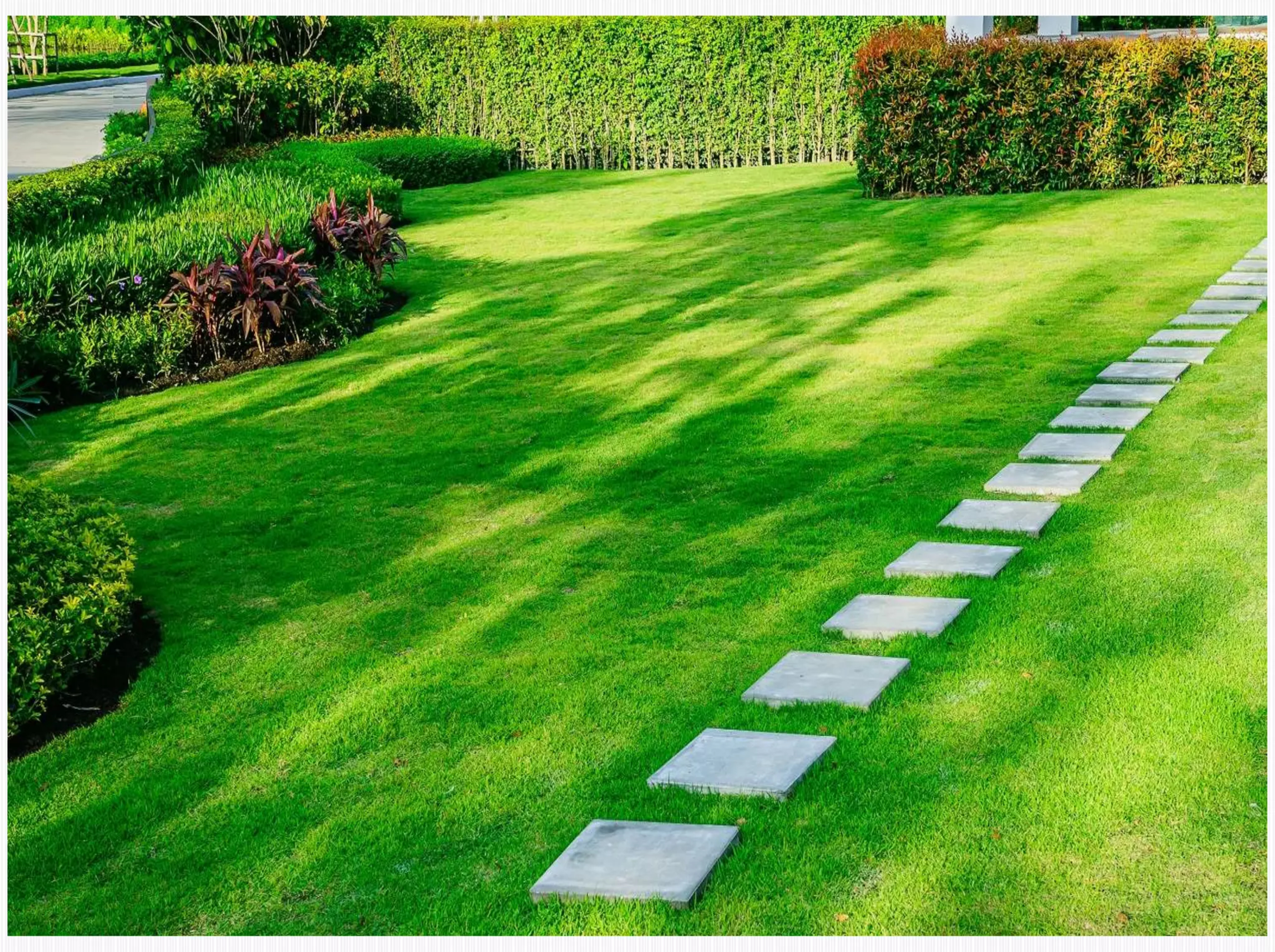 Specialized maintenance support for a managed property